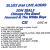 Having A Good Time Is A Fool Time Job(HWB) - Son Seals&Chicago Fire Band&Howard&The White Boys