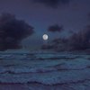 Rolling In The Deep (Sped Up) - Sped Up Mage&Syrex&Kløn&Amanda Yang&Adele Laurie Blue Adkins&Paul Epworth