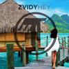 Hey (Original Mix) - ZviDy