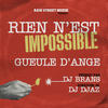 Rien N'est Impossible(feat. DJ Djaz) (DJ Low Cut remix) - DJ Brans&Gueule D'ange&DJ Djaz