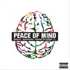 Peace of Mind (Explicit) - Natasha Marie&Madchild&Bertrand The Visionary&X.L.