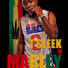 Marley - T Sleek