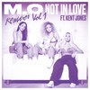 Not In Love (JKAY Remix) - M.O&Kent Jones