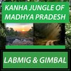 Kanha Jungle of Madhya Pradesh - Labmig&Gimbal