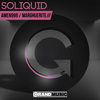 Marghuerite (Original Mix) - Soliquid
