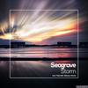 Storm (Harold-Alexis Remix) - Seagrave&Harold-Alexis