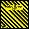 Pages - Dried Flower