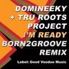 I'm Ready (Born2Groove Remix) - Domineeky&Tru Roots Project