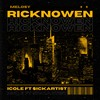 Rick N Owen - Melomix&iCole&$ickartist