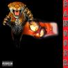 Better Know Boy (Explicit) - Papichulo Bangger