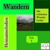 Zuiderzee-Ballade - Paul Ruipers' Original Berghöfer Musikanten