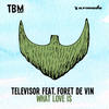 What Love Is (Extended Mix) - Televisor&Foret De Vin