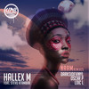 Naam Remixes (Darksidevinyl Remix) - Hallex M&Stevo Atambire&Darksidevinyl