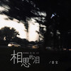 相思的泪 - 音宝