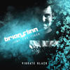Jump The Tiger (Original Mix) - Brian Flinn