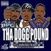 Ya'll Know What I'm Doin(Street) (Explicit) - Tha Dogg Pound&Turf Talk