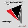 Revenge (Original Mix) - DJ Sly (IT)&Domenek