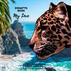 My Love (GeoM Remix) - Zonatto&Unknown Singer&GeoM