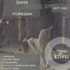 Foresaw (Original Mix) - Sama
