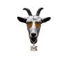 Styrofoam Love (Explicit) - MQ The Goat