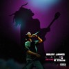 How I'm Feelin'(feat. Gwala Gambino & Trvp) (Explicit) - Boldy James&Gwala Gambino&Trvp