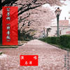 公子啊 (抖音版) - 马洋