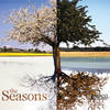 Blossom - David Lawson&Tom Howe