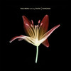 Fantasize (feat. Cecile) (Vocal Club Mix) - Rob Mello&Cecile