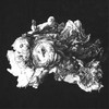 Utopia Reimagined: If You Knew - Dru Chen&Charlie Lim