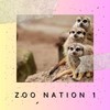 Afternoon (Nation Mix) - Dyno Latyno