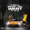 What You Want (feat. Air MC) (Explicit) - Wheelz AC&AiR MC