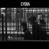 Bolla - CYDIA