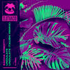Undulate (Original Mix) - Sacha Robotti