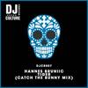 Hannes Bruniic - Tiger(Catch the Bunny) - Hannes Bruniic