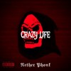 Crazy Life (Explicit) - Nether Phonk
