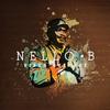 Diamonds & Gold - Nello B&Brother Culture&Addis Records