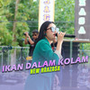 Ikan Dalam Kolam - New Raxzasa