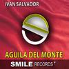 AGUILA DEL MONTE (Original Mix) - Iván Salvador