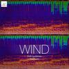 Wind - Kirill Lubimov&MaRives