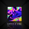 Catch a Vibe - Chaitha