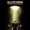 Now You're Gone (Suffa Remix) (Bonus Track) - Hilltop Hoods