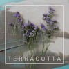 Terracotta - Garden City Movement