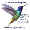 Little Hummingbird - Lynn Hoxit&Mike
