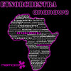 Ananawe (Stylus Robb Radio Edit) - Etnorchestra