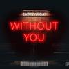 Without You (Radio Mix) - Edson Faiolli&Edson J. M. Pereira