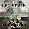 I Heard (Explicit) - Loonybin&Rowdy Rubyn