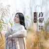 无缘的真爱 - 雨中百合