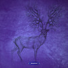 Allosteric Modulators (Original Mix) - Schuerfes