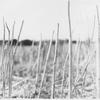 Jaded (Scuba Remix) - remix - Recondite