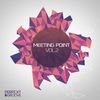 Hoffman (Original Mix) - Anthony Hypster&Mintech